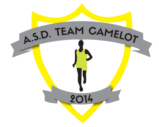 Team Camelot